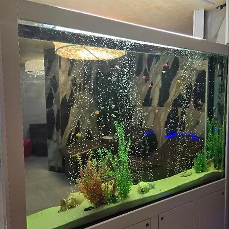 דירה Sarafovo Atlantis 58 בורגאס
